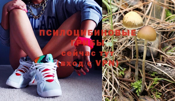 ECSTASY Навашино