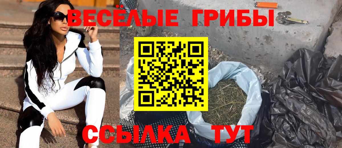 Псилоцибиновые грибы Psilocybe Кемерово