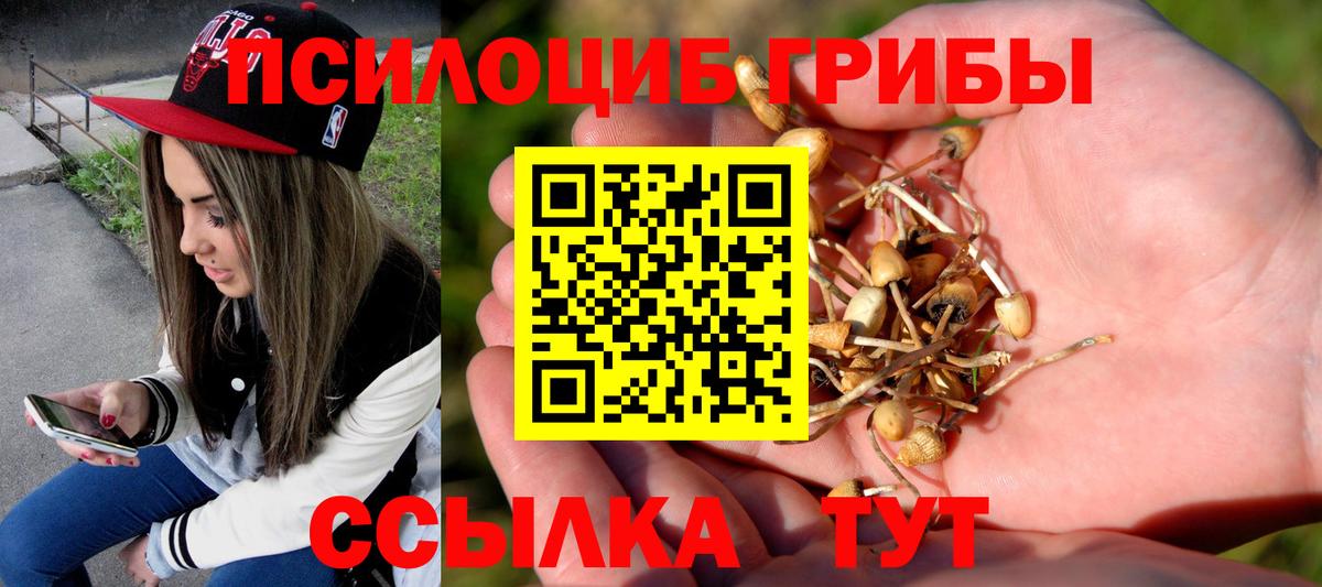 Кемерово  где можно купить наркотик  Вход с VPN  Галлюциногенные грибы Magic Shrooms 